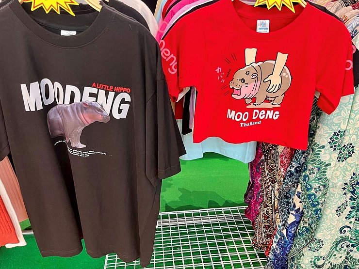 Besonders Moo-Deng-T-Shirts sind ein echter Kassenschlager. - © Angelique van Spijk/dpa