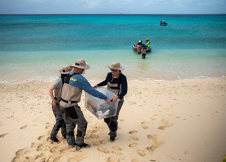 Greenpeace hatte die neue Studie in Auftrag gegeben. - © Chewy C. Lin/Greenpeace/dpa