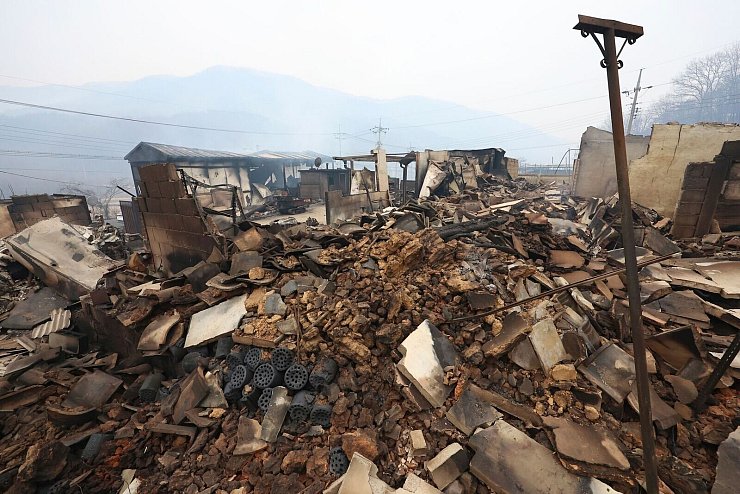 Rund 37.000 Anwohner mussten bereits wegen der Waldbrände evakuiert werden. - © Kim Do-hun/Yonhap via AP/dpa