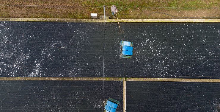 Aquakulturen - © Philipp Schulze/dpa