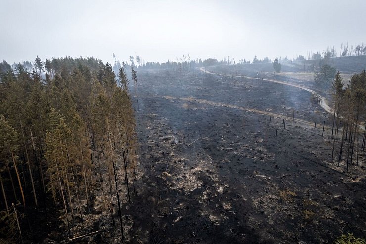 Im Süden von Thüringen haben sich Flammen ausgebreitet. - © Jacob Schröter/dpa