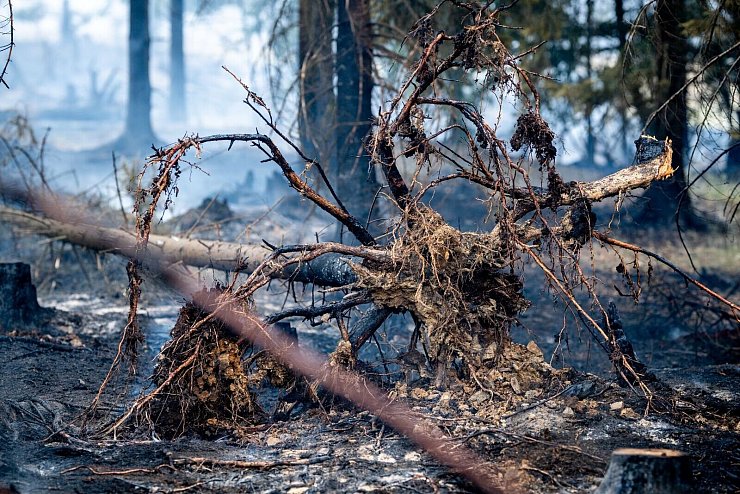 Mindestens 250 Hektar Wald sind in Thüringen von dem Brand betroffen. - © Jacob Schröter/dpa