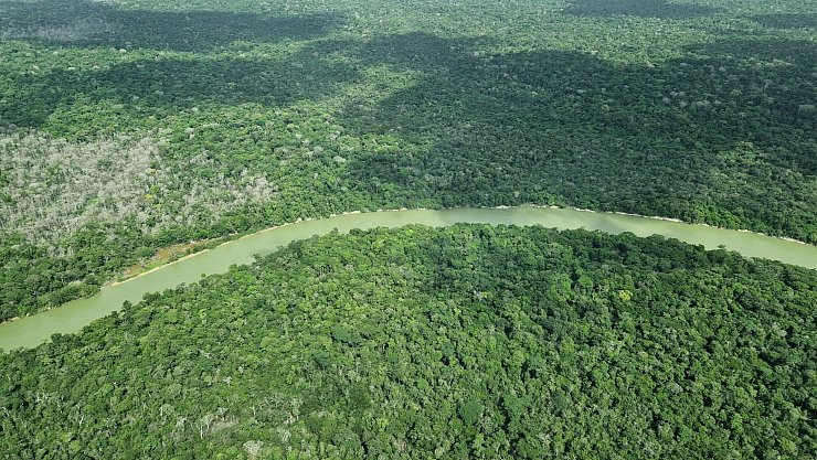 Hier ist der Wald intakt – doch an vielen Stellen ist er schon verloren. - © Larissa Schwedes/dpa
