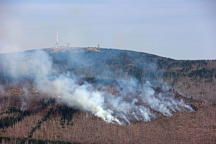Derzeit ist die Waldbrandgefahr in weiten Teilen Sachsen-Anhalts sehr hoch. - © Matthias Bein/dpa