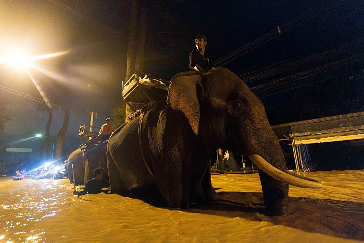 Auf einem Elefanten bringt ein Mönch in Thailand Hilfsgüter (Foto aktuell). - © Wason Wanichakorn/AP/dpa