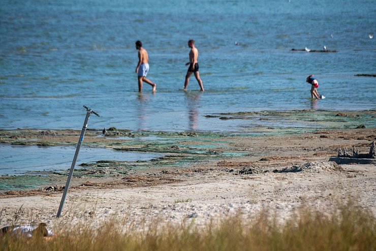 Der Kontakt mit blühenden Blaualgen kann unangenehme Folgen haben - wie Übelkeit, Fieber oder gar Atemnot. Zu Beginn des Sommers ist das meist noch kein Problem. (Symbolbild) - © Stefan Sauer/dpa