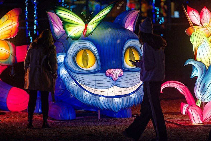 Die Grinsekatze ist auch nach Köln gekommen. - © Henning Kaiser/dpa