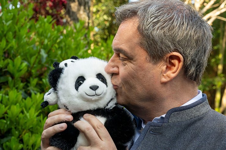 Markus Söder herzt einen Plüsch-Panda. - © Peter Kneffel/dpa