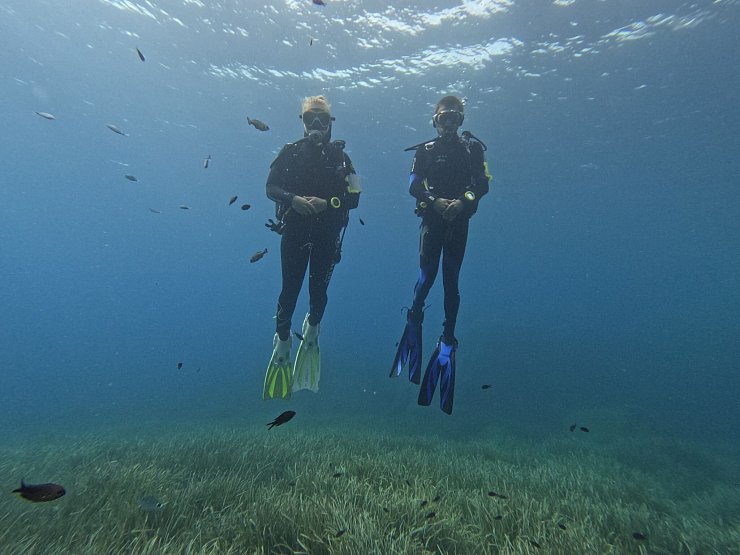 Die Fische scheinen Taucher anhand von Farbmerkmalen ihrer Ausrüstung zu erkennen. - © -/Behavioural Evolution Lab /Max Planck Institute of Animal Behavior/dpa