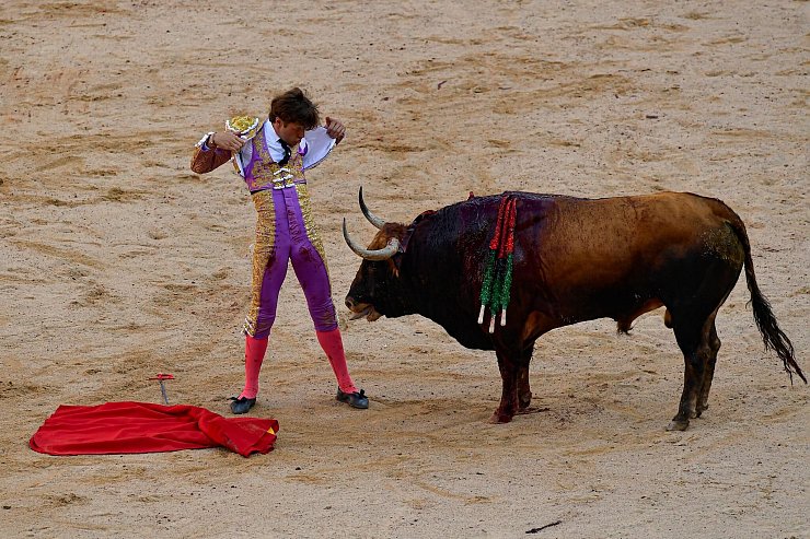 Die Bullen erwartet nach der Jagd durch die Altstadt von Pamplona der Matador in der Stierkampfarena. - © Alvaro Barrientos/AP/dpa