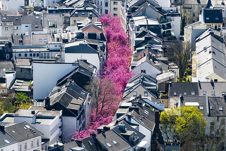 Eine Straße leuchte in Pink. - © Christoph Reichwein/dpa