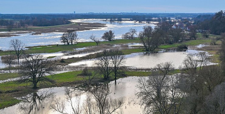 Das Hochwasser vom deutsch-polnischen Grenzfluss Oder hat schon teilweise Wiesen vor dem Deich überflutet. - © Patrick Pleul/dpa