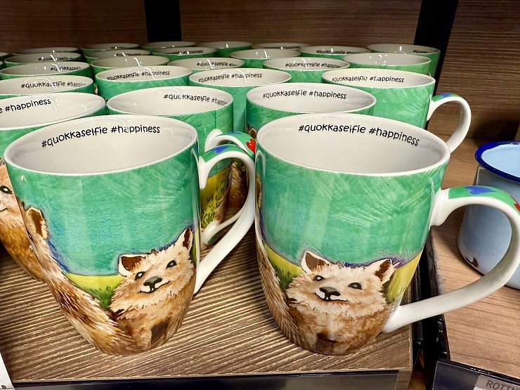 Überall gibt es Souvenirs mit Quokka-Motiv zu kaufen. - © Carola Frentzen/dpa
