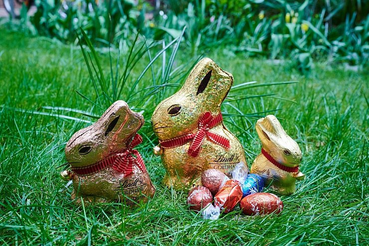 Der «Goldhase» ist nicht selten in Osternestern zu entdecken. (Symbolbild) - © Annette Riedl/dpa