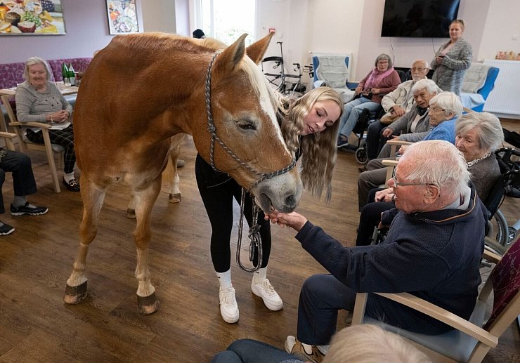 Der Besuch der Stute ist für die alten Menschen eine willkommene Abwechslung zum Alltag im Altersheim. - © Boris Roessler/dpa