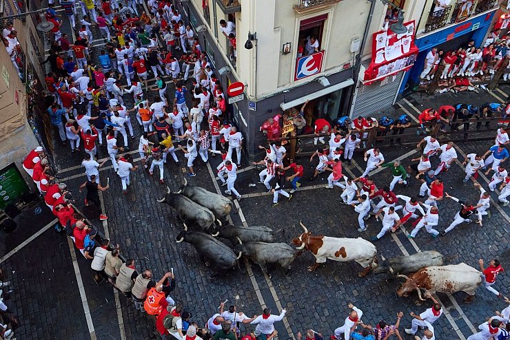 Viele Läufer versuchen, vor oder neben den Bullen mitzulaufen und sie möglichst auch zu berühren. - © Miguel Oses/AP/dpa
