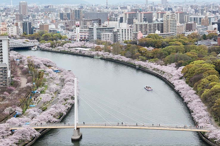 Mit Bäumen gesäumter Yodo-Fluss: Osaka während der Kirschblüte. - © Osaka Convention & Tourism Bureau/dpa-tmn