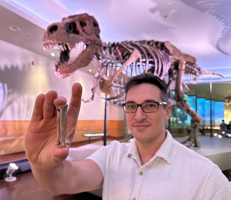 Der Wissenschaftler Alex Clark zeigt den fossilen Fußknochen von Avisaurus darwini. - © Kate Golembiewski/dpa