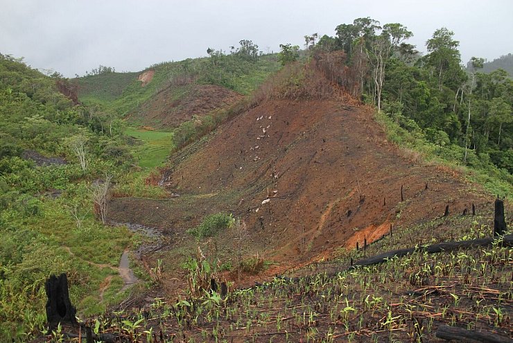 Abgeholzter Wald in Madagaskar - © Ricardo Rocha/Universität Oxford/dpa
