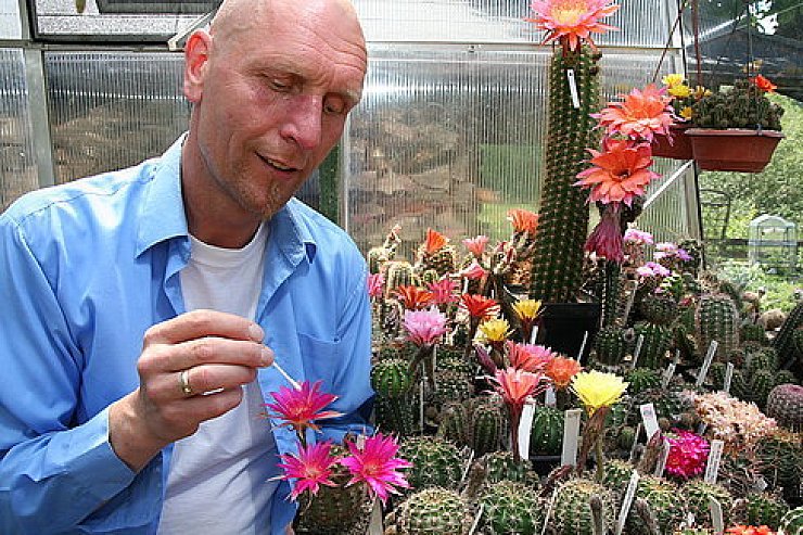 Patent auf

Stachel-Pflanzen - © BAD SALZUFLEN