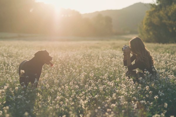 Tier-Fotografen begeben sich am Besten auf Augenhöhe mit dem Model. - © Skabarcat/Westend61/dpa-tmn
