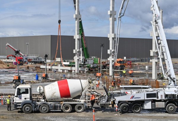 Tesla - © Foto: Patrick Pleul/dpa