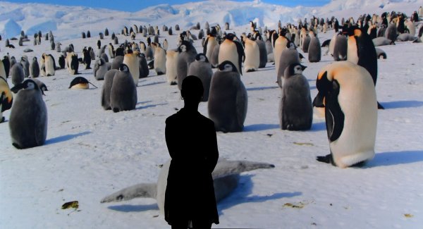 Ausstellung "Antarctica" - © Foto: Carmen Jaspersen