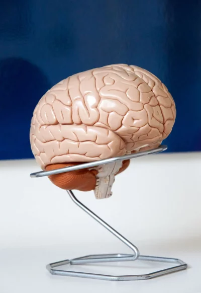 Neuroplastizit&auml;t beim Windelwechsel: Die Geburt eines Kindes ver&auml;ndert nicht nur das Leben, sondern auch das Gehirn von V&auml;tern. - &copy; Georg Wendt/dpa/dpa-tmn