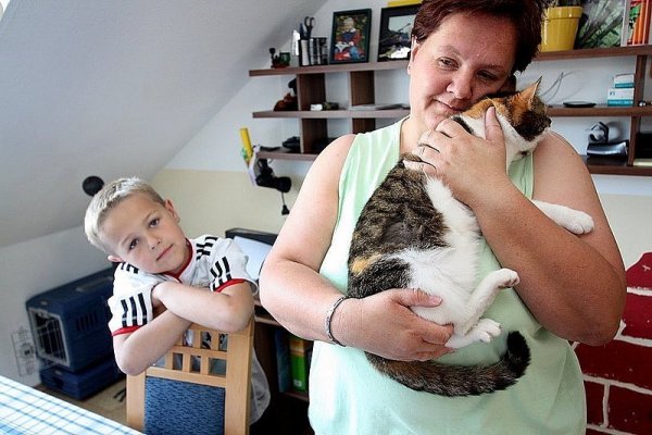 Ilka Junghänel hält das verletzte Tier im Arm, Sohn Finn (7) findet es nicht in Ordnung, dass auf die Katze geschossen wurde. Das kreisrunde Einschussloch ist an der Seite im getigerten Fell noch zu erkennen. - © FOTO: BIRGIT GUHLKE