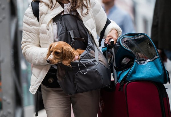 Bahnreisende mit Hund - © Foto: Andreas Arnold