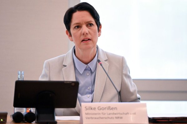 Landwirtschaftsministerin Silke Gorißen (CDU) lehnt die Forderung nach einer flächendeckenden Stallpflicht für Geflügel aktuell ab. (Archivbild) - © Federico Gambarini/dpa