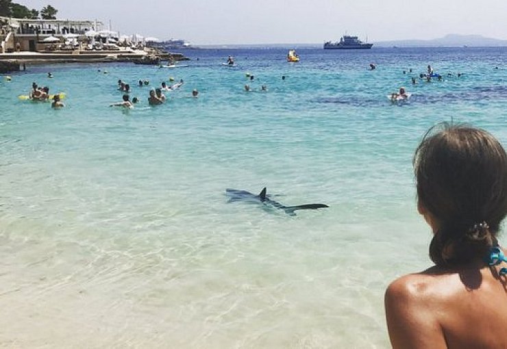 Dieses Bild nahmen Urlauber am Strand auf - © privat