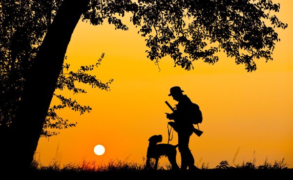 Ein Jäger geht mit seinem Hund bei Sonnenuntergang auf die Jagd. - © Symbolbild dpa
