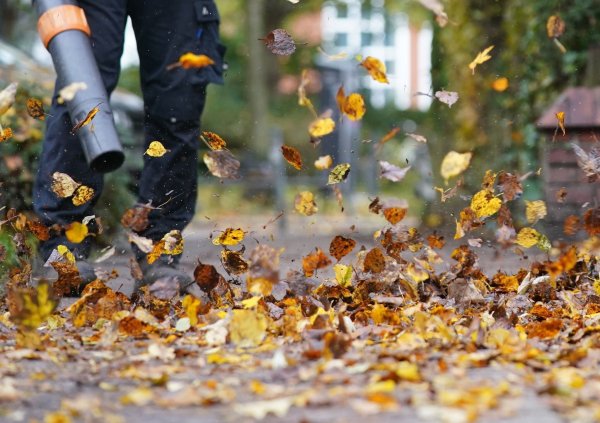 Zürich will den Einsatz nur noch von Oktober bis Dezember erlauben. (Symbolfoto) - © Marcus Brandt/dpa/dpa-tmn