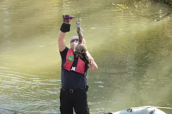 Tierrettung an der Bega - eine Eule hatte sich in einer Anglerschnur verfangen. - &copy; Till Brand