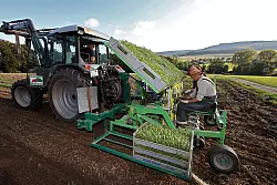 50.000 Setzlinge wurden in Horn-Bad Meinberg-Fromhausen gepflanzt. - © Foto: Preuss