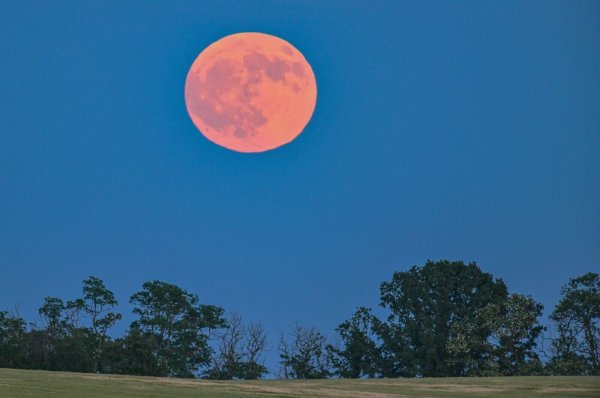 Blassroter Mond am Abendhimmel. (Archivbild) - © Patrick Pleul/dpa