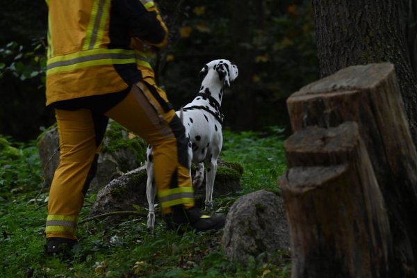 «Der Junge war möglicherweise auf dem Weg zu seinem Vater», sagte die Sprecherin. - © Stefan Sauer/dpa