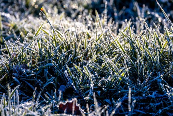 Noch ist es frostig, doch es nähert sich eine Warmfront. - © Jens Büttner/dpa