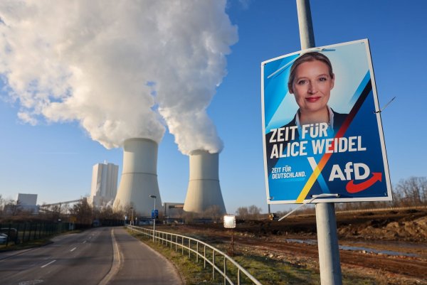 Wirtschaftsvertreter warnen vor den Folgen einer starken AfD für die deutsche Wirtschaft. - © Jan Woitas/dpa