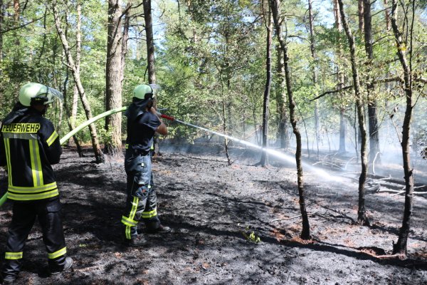 Der Flächenbrand im Naturschutzgebiet Furlbachtal ist bis auf ein paarGlutnester gelöscht. - © Guntmar Wolff