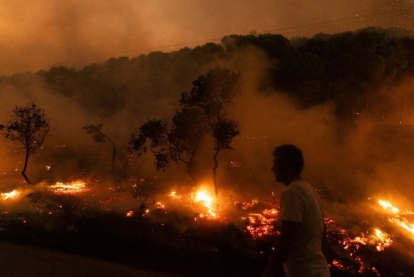 Der Waldbrand in der Nähe der griechischen Stadt Alexandroupolis im Jahr 2023 war der größte bisher registrierte Brand in Europa. (Archivbild) - © Achilleas Chiras/AP/dpa