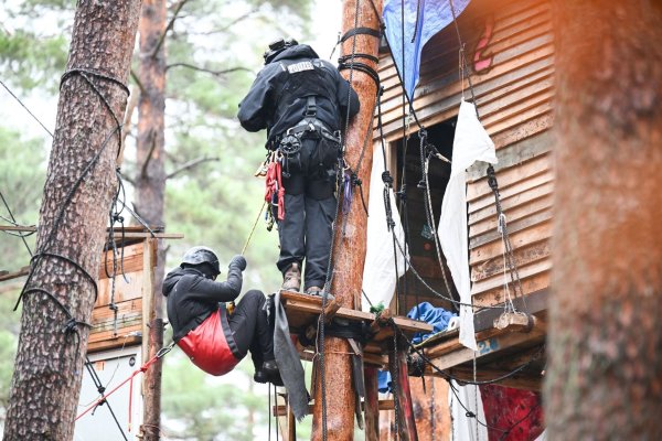 Höhenretter der Polizei sind bei der Räumung des Protestcamps der Tesla-Gegner an einem Baumhaus im Einsatz. - © Sebastian Christoph Gollnow/dpa