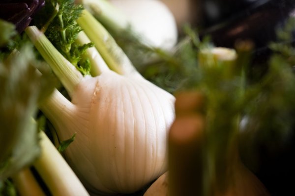 Die perfekte Zeit für Fenchel: Jetzt startet die Hauptsaison für das unterschätzte Gemüse mit dem süßlichen Anisaroma. - © Franziska Gabbert/dpa-tmn