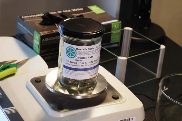 Vor wenigen Tagen wurde im Cannabis Social Club Erfurt erstmals Genusscannabis an Vereinsmitglieder ausgegeben. - © Bodo Schackow/dpa