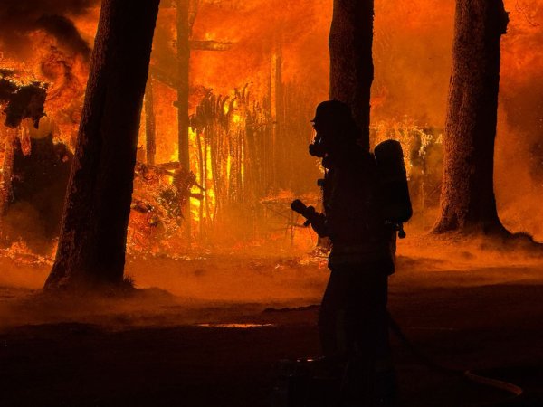 Feuer zerstört Lagerhalle auf Pferderennbahn in Krefeld. - © Alex Forstreuter/dpa