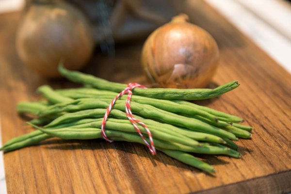 Grüne Bohnen enthalten viele gesunde Mineralstoffe wie Kalzium und Eisen sowie Folsäure und die Vitamine C und K. - © Christin Klose/dpa-tmn