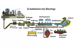 So funktioniert eine Kläranlage: Von unseren Häusern gelangt das Abwasser über die Kanalisation in die unterschiedlichen Durchlaufstationen. Fließt nicht genug Wasser, weil zum Beispiel nicht mehr so viele Haushalte an eine bestimmte Kanalisation angeschlossen sind, gibt es Probleme im Nachklärbecken. Blähschlamm entwickelt sich und kann ins Gewässer gelangen. - © Schematische Darstellung: Hochschule OWL