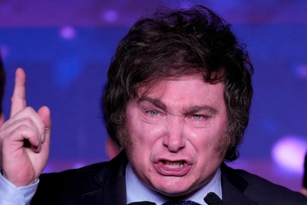 Javier Milei ist zum neuen Präsidenten Argentiniens gewählt worden. - © Natacha Pisarenko/AP