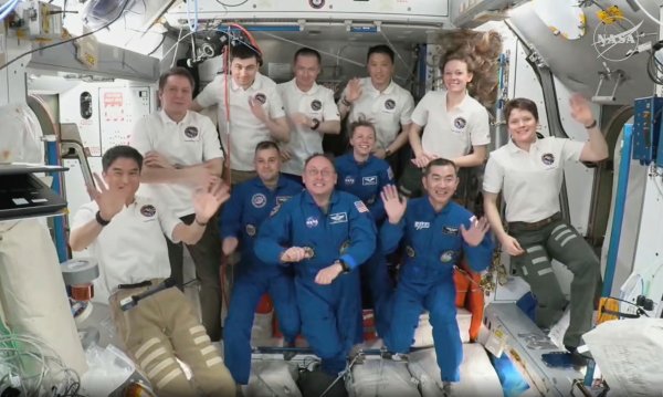 Die neu angekommene «Crew 11» (in den blauen Anzügen) besteht aus dem Japaner Kimiya Yui (r-l), Zena Cardman und Mike Fincke (beide USA) sowie Oleg Platonow aus Russland. - © Uncredited/NASA and SpaceX/AP/dpa